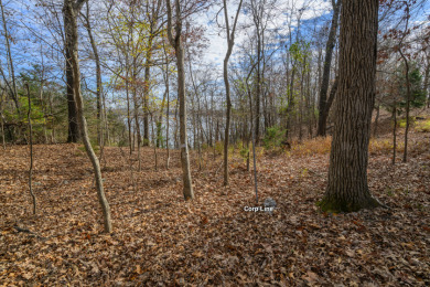 Wanting to build with a view of the lake. - photo 12