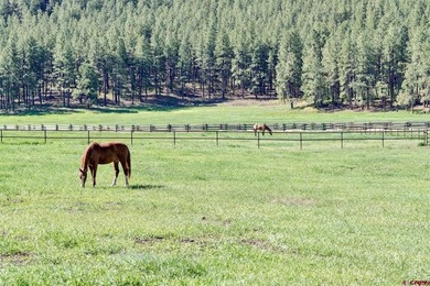 Kyle Roberts, The Wells Group of Durango, LLC, C:,,: Pine Ridge - photo 4