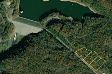 Lake House for Sale | Nolin Bluffs (Lot 3) - photo 10