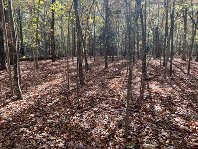 Bull Shoals Lake Lot For Sale in Bull Shoals Arkansas