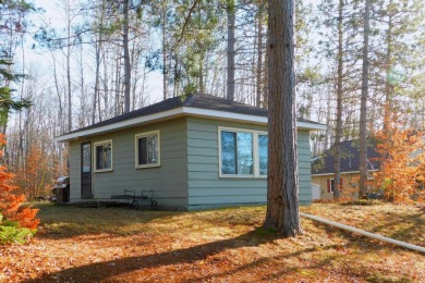 Lake Home For Sale in Wetmore, Michigan