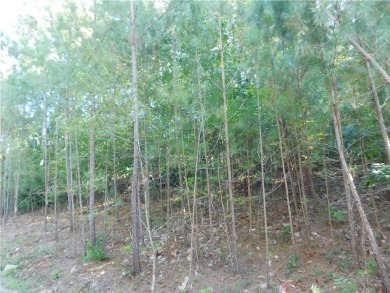 Lake Lot For Sale in Salem, South Carolina