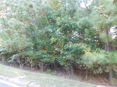 Nestled in the heart of The Cliffs at Keowee Falls, this 0 - photo 2