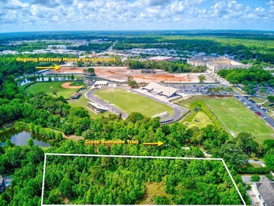 Prime 7.87-acre development opportunity in the heart of Winter - photo 4