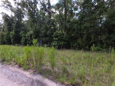 Suwannee River Lot For Sale in Branford Florida