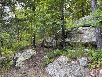 (private lake, pond, creek) Acreage For Sale in Daisy Oklahoma