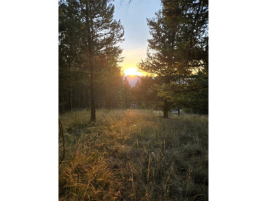 Lake Lot For Sale in Kalispell, Montana