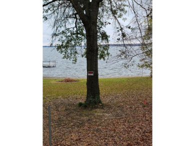 Cedar Creek Lake Lot For Sale in Caney City Texas