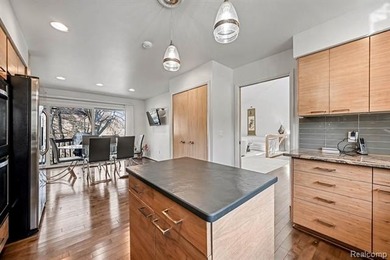 Welcome to this beautifully updated detached brick ranch condo - photo 15