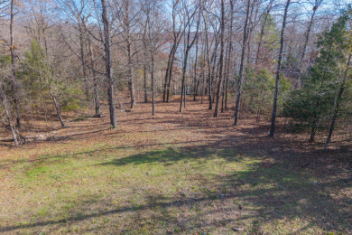 Wanting to build with a view of the lake. - photo 17