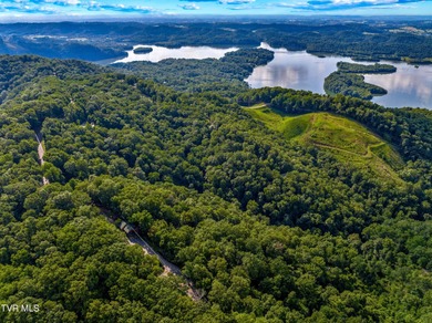 Welcome to the beautiful Chelaque Community on Cherokee Lake! - photo 22