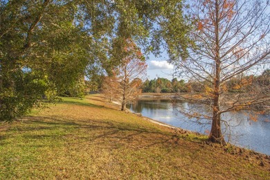 Beautiful 3 bedroom 3 bathroom 3 Car Garage home which is Easily - photo 32
