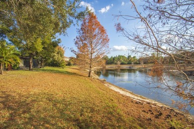 Beautiful 3 bedroom 3 bathroom 3 Car Garage home which is Easily - photo 34