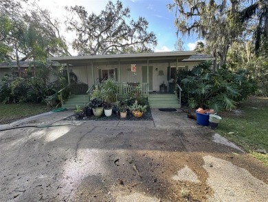 Lake Weohyakapka (Lake Walk-In-Water) Home For Sale in Lake Wales Florida