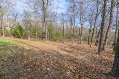 Wanting to build with a view of the lake. - photo 10