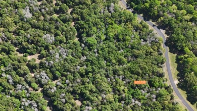Your Lake Escape in the Woods - photo 12