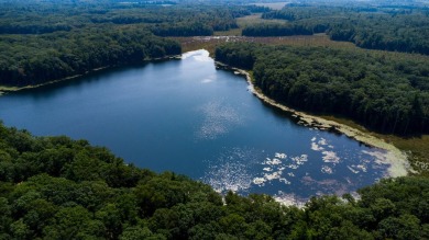 Lake Acreage For Sale in Walkerville, Michigan