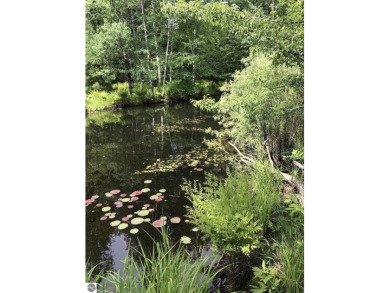 Lake Acreage For Sale in Empire, Michigan