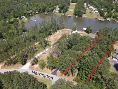 Lake Lot For Sale in Chappells, South Carolina