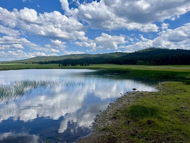 The Sproul Ranch is one of the premier working cattle ranches in - photo 11