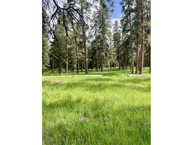 The Sproul Ranch is one of the premier working cattle ranches in - photo 12
