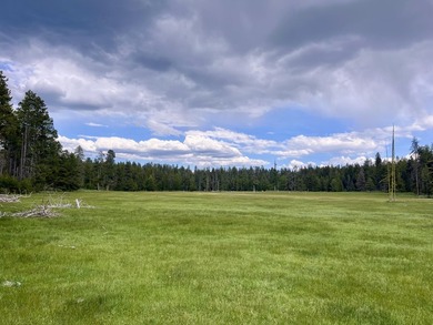 The Sproul Ranch is one of the premier working cattle ranches in - photo 13