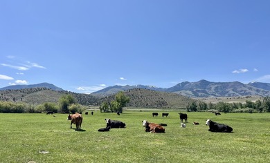 The Sproul Ranch is one of the premier working cattle ranches in - photo 15