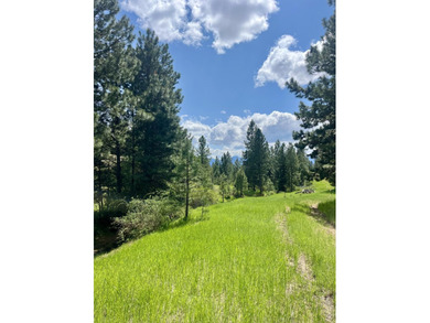 The Sproul Ranch is one of the premier working cattle ranches in - photo 19