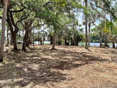 (private lake, pond, creek) Acreage For Sale in Crystal River Florida