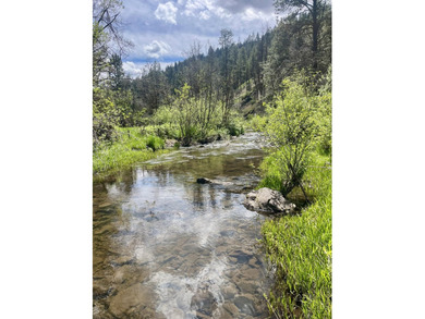 The Sproul Ranch is one of the premier working cattle ranches in - photo 22