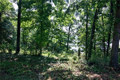 Experience lake living at its finest in this charming 4-bedroom - photo 40