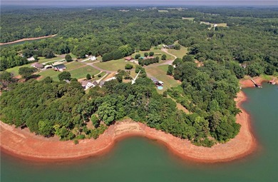 Experience lake living at its finest in this charming 4-bedroom - photo 48
