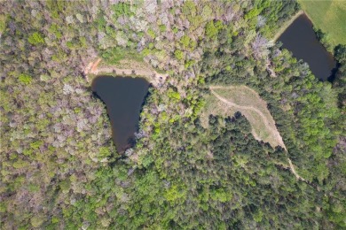 (private lake, pond, creek) Acreage Sale Pending in Bowdon Georgia