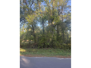 Pamlico River Lot For Sale in Washington North Carolina