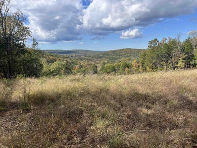 Bull Shoals Lake Acreage For Sale in Peel Arkansas