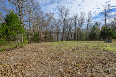 Wanting to build with a view of the lake. - photo 6