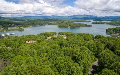 Lake Lot For Sale in Hiawassee, Georgia