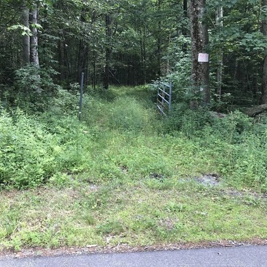 Exceptional 9.26-Acre Wooded Retreat - Lot 13, Algerie Road - photo 12