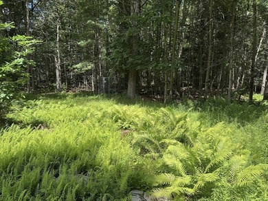 Exceptional 9.26-Acre Wooded Retreat - Lot 13, Algerie Road - photo 14