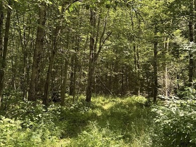 Exceptional 9.26-Acre Wooded Retreat - Lot 13, Algerie Road - photo 15