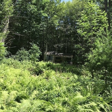 Exceptional 9.26-Acre Wooded Retreat - Lot 13, Algerie Road - photo 16