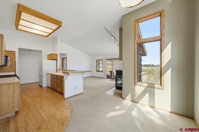 Todd R Schroedel, United Country Sneffels Realty, C:,,: Golf - photo 5