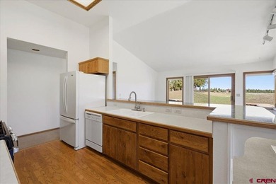 Todd R Schroedel, United Country Sneffels Realty, C:,,: Golf - photo 8
