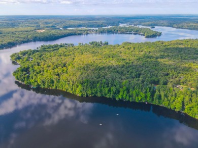 Croton Pond Acreage For Sale in Croton Michigan