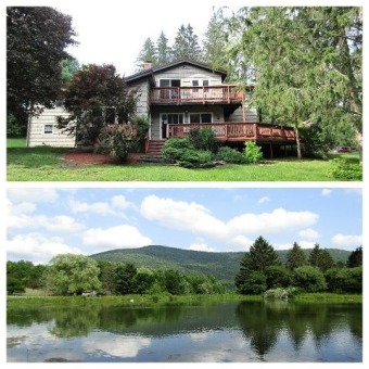 (private lake, pond, creek) Home For Sale in Roxbury New York