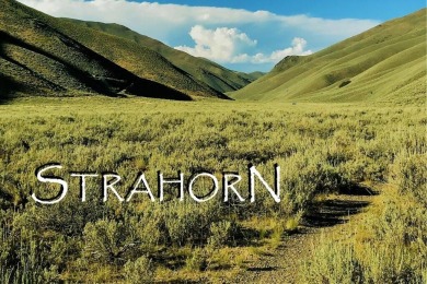 Big Wood River Lot For Sale in Bellevue Idaho