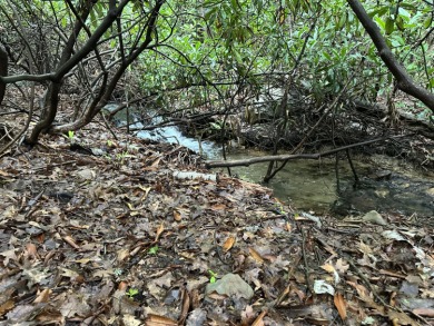 El-Do Lake Lot For Sale in Kunkletown Pennsylvania