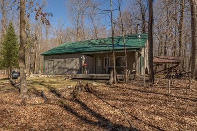 Set among towering pines and hardwoods on nearly 2.25 acres - photo 22