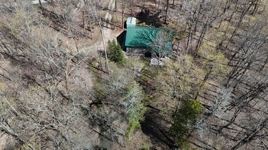Set among towering pines and hardwoods on nearly 2.25 acres - photo 24