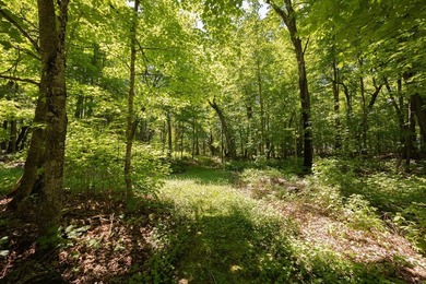 Set among towering pines and hardwoods on nearly 2.25 acres - photo 25